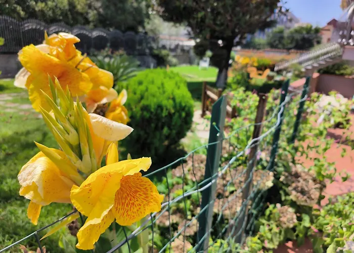 I Giardini Di Plinio - Elegante E Luminoso.